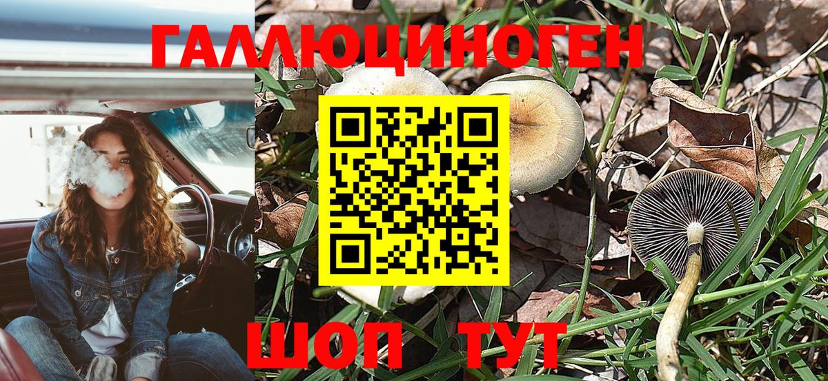 Псилоцибиновые грибы мицелий Мытищи