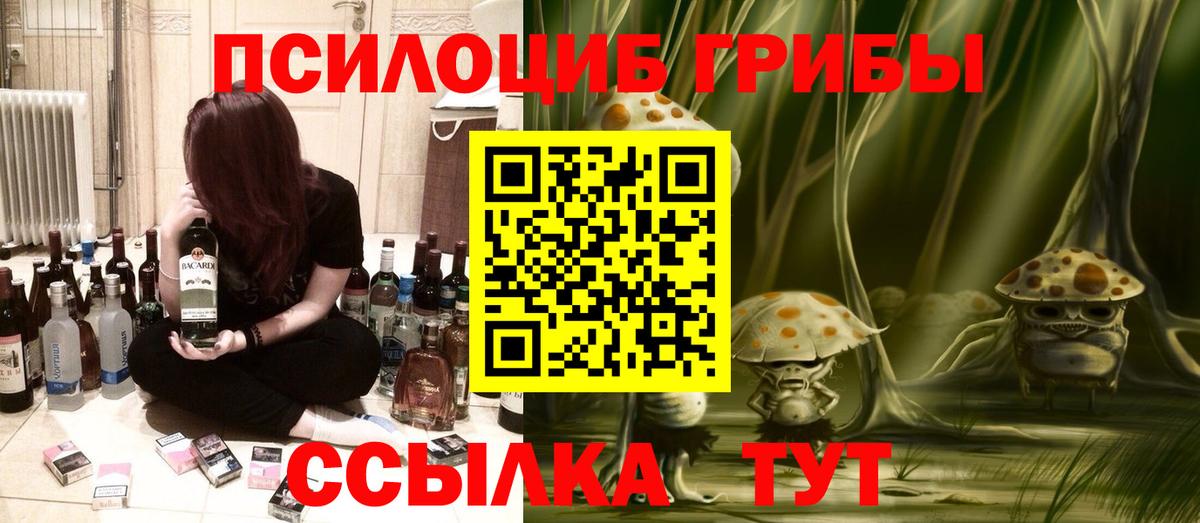 Псилоцибиновые грибы Psilocybine cubensis  Галлюциногенные грибы GOLDEN TEACHER  Вход с VPN  как найти наркотики  Мытищи 