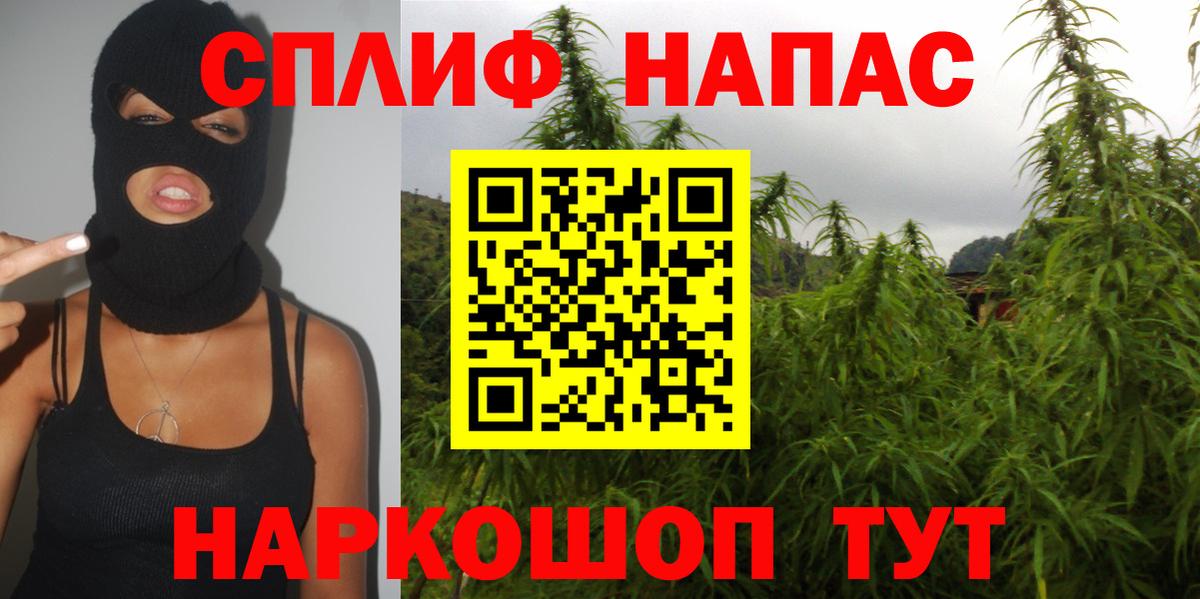 Мытищи  Марихуана сатива  Вход с VPN  Бошки Шишки конопля  Бошки марихуана сатива 
